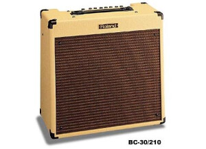 Roland Blues Cube BC-30 210