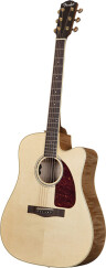 New Fender Acoustic Models
