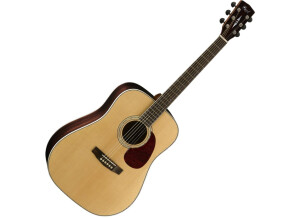 Cort Earth100R