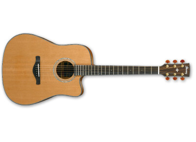 Ibanez AW3050CE