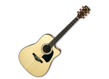 Ibanez AW3000CE