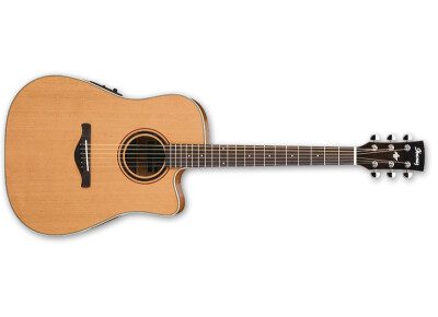 Ibanez AW250