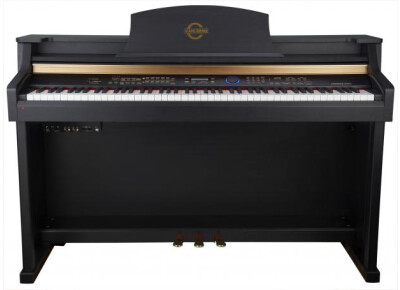 Carlsbro PN1001 - P240RW