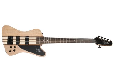 Epiphone Thunderbird Pro-V