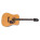 Voir la photo de la Epiphone Masterbilt DR-500M Epiphone Masterbilt DR-500M