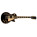 Gibson Les Paul Traditional