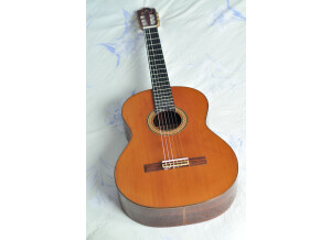 Alhambra Guitars 9 C
