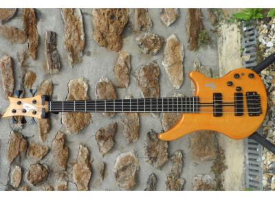 Vigier Arpege 5 Strings