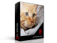 8dio Catmosphere