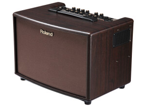 Roland AC-60-RW