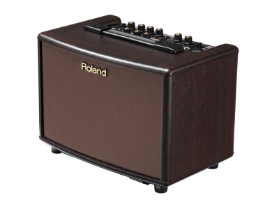 Roland AC-33-RW