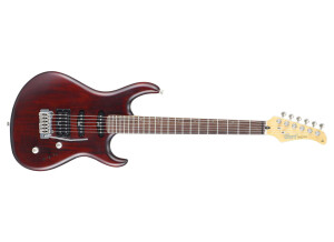 Cort G254