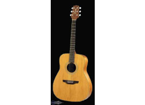 Takamine EGS330S II