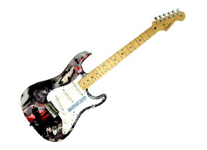 Fender FSR 2010 American Standard Stratocaster Shelby Collage