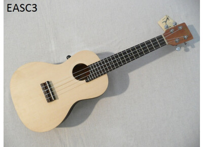 eleuke EAS-C