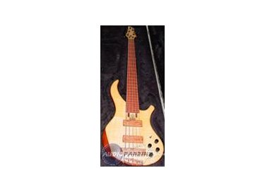 Noguera Expression Plus 5 Fretless