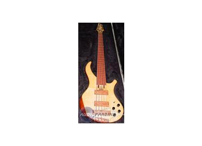 Noguera Expression Plus 5 Fretless