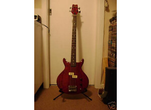 Washburn Scavenger