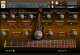 Wavelore Glide : Resonator Slide Guitar