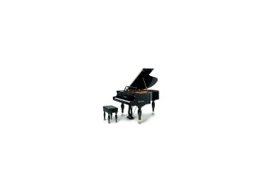 Bösendorfer Schubert