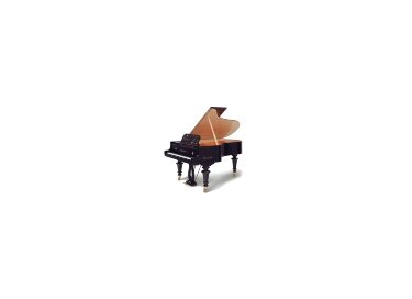 Bösendorfer Strauss