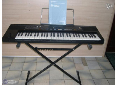 Roland E30