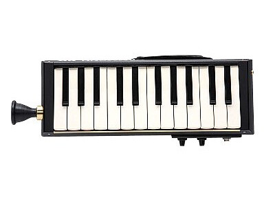 Hammond Melodion Bass B-24H