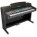 Kurzweil X-Pro UP