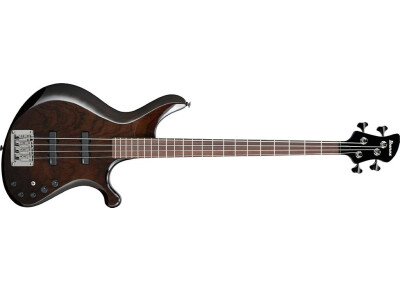 Ibanez G104