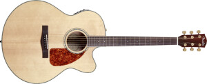 Fender CJ-290SCE