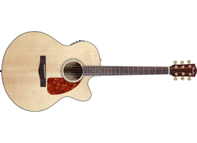 Fender CJ-290SCE