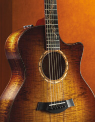 Taylor 2011 Fall Limited Edition Guitars