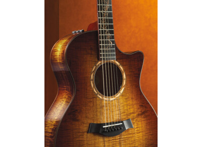 Taylor Limited Edition Koa GA-LTD