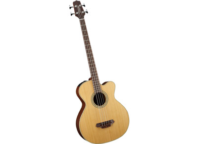Takamine TB240SC