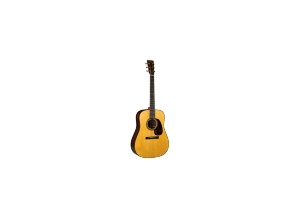 Martin & Co D21SP