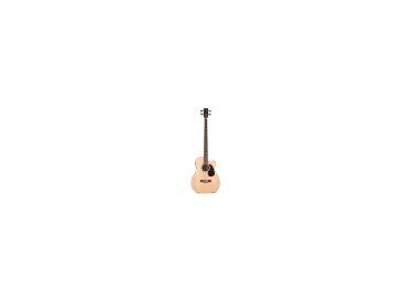 Martin & Co BC-16GTE