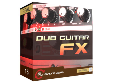 Future Loops Dub Guitar FX