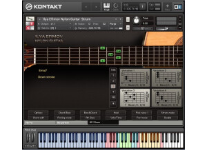 Ilya Efimov Sound Production Nylon Guitar
