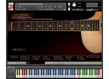 Efimov Audio Acoustic Guitar