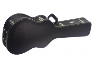 Stagg GCX-W