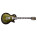 See the photo of the Gibson Les Paul Studio Swirl Gibson Les Paul Studio Swirl
