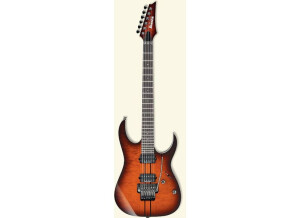 Ibanez RGT320Z