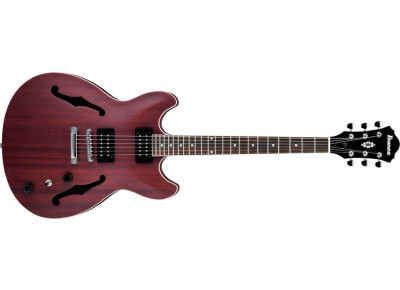 Ibanez AS53