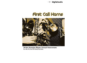 Big Fish Audio First Call Horns