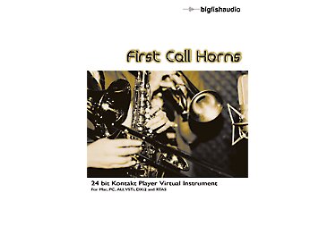 Big Fish Audio First Call Horns