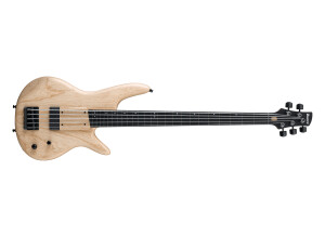 Ibanez GWB1005 Gary Willis Signature