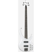 Ibanez online btb 470