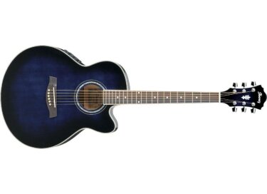 Ibanez AEL10E