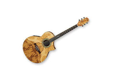 Ibanez EW35ABE
