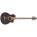 See the photo of the Ibanez EWB205WNE Ibanez EWB205WNE